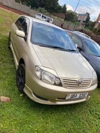 A picture of 18 5m 0705287621