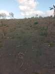 A picture of Kiwanja Kinauzwa Kibaha Loliondo