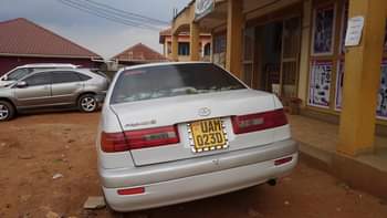 A picture of 6 9m 0705835212