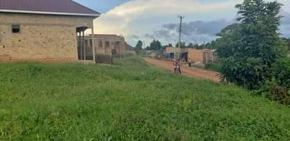 A picture of 7 plots good for shops only in Mukono Town. 0756873001