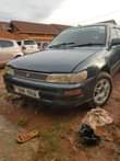A picture of Kikimi corolla