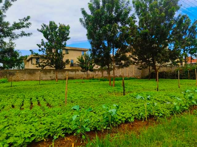 50 100 plots