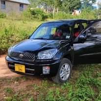 A picture of Rav4 killtime