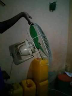 fans