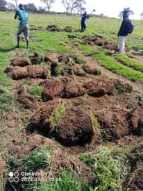 landscaping ssrvices