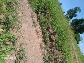 A picture of PLOTS AT AFFORDABLE PRICES