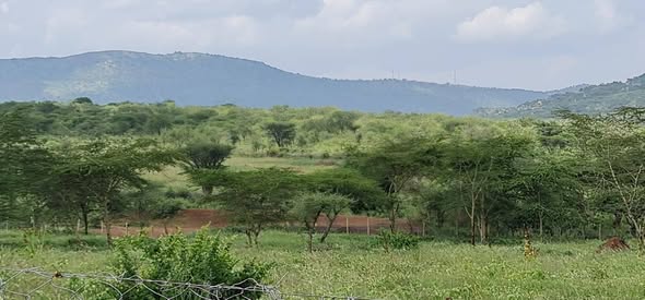 plots kajiado