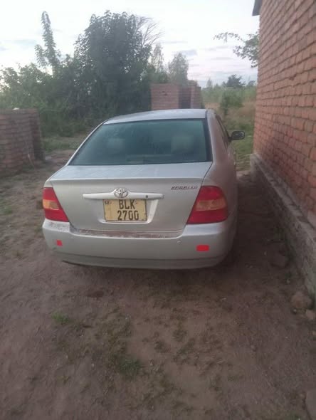 used toyota corolla
