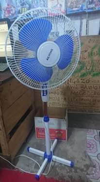 A picture of Mr