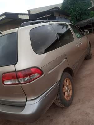 A picture of Sienna Belgium standard