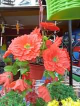 A picture of Artifitural flowwers