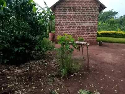 A picture of House with 2 rooms for sale in Nakaseke Kapeeka Bukakala