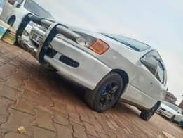 A picture of 6 5m 0705835212