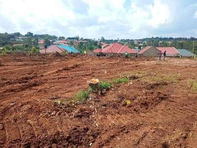 A picture of GAYAZA TOWN ESTATE In the middle of Gayaza Town. Few