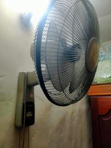 A picture of Feni ya ukutani Evernal