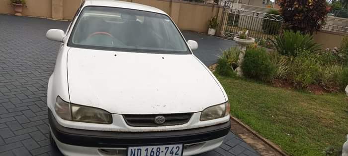 Kzn V.