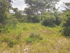 A picture of SHAMBA HEKA 20 LINA UZWA LIPO MZENGA MKOA WA PWANI