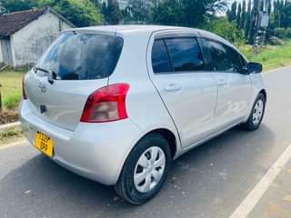 A picture of Vitz