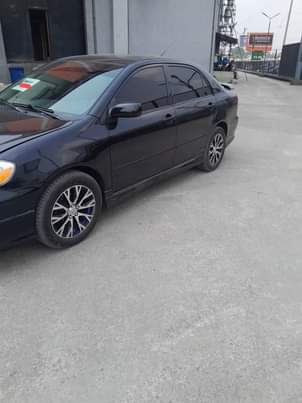 A picture of SWEET DEAL MOST GO TODAY BELGIUM GRADE LESS THAN A