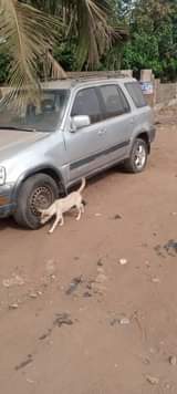 A picture of Honda CR V