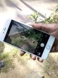 A picture of iPhone 6 PLUS GB 16