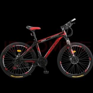 A picture of Mountain Bicycle