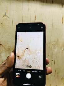 A picture of iPhone 11 plain Dsp bh Fac ipo Being 430 Weka