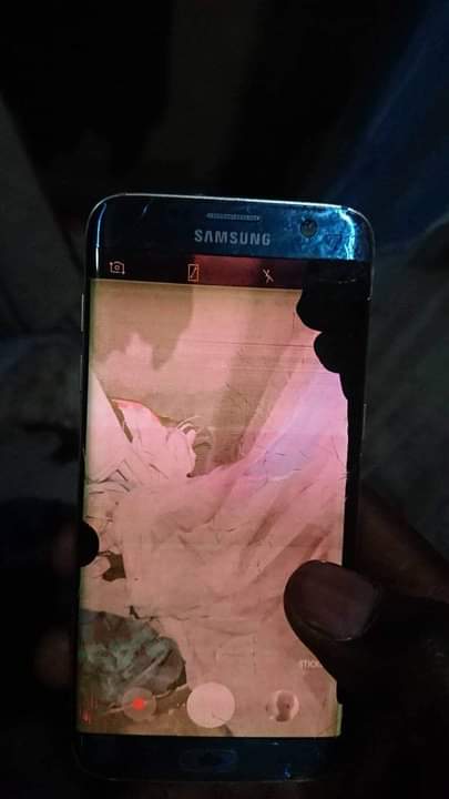 samsung galaxy s7