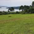 A picture of 50 Acres in Mukono Nkokonjeru Ssi Village