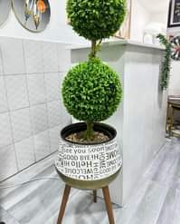 A picture of Artificial plants