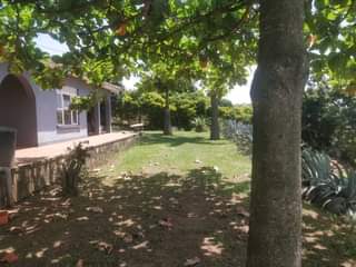 A picture of House