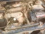 A picture of Camry orobo