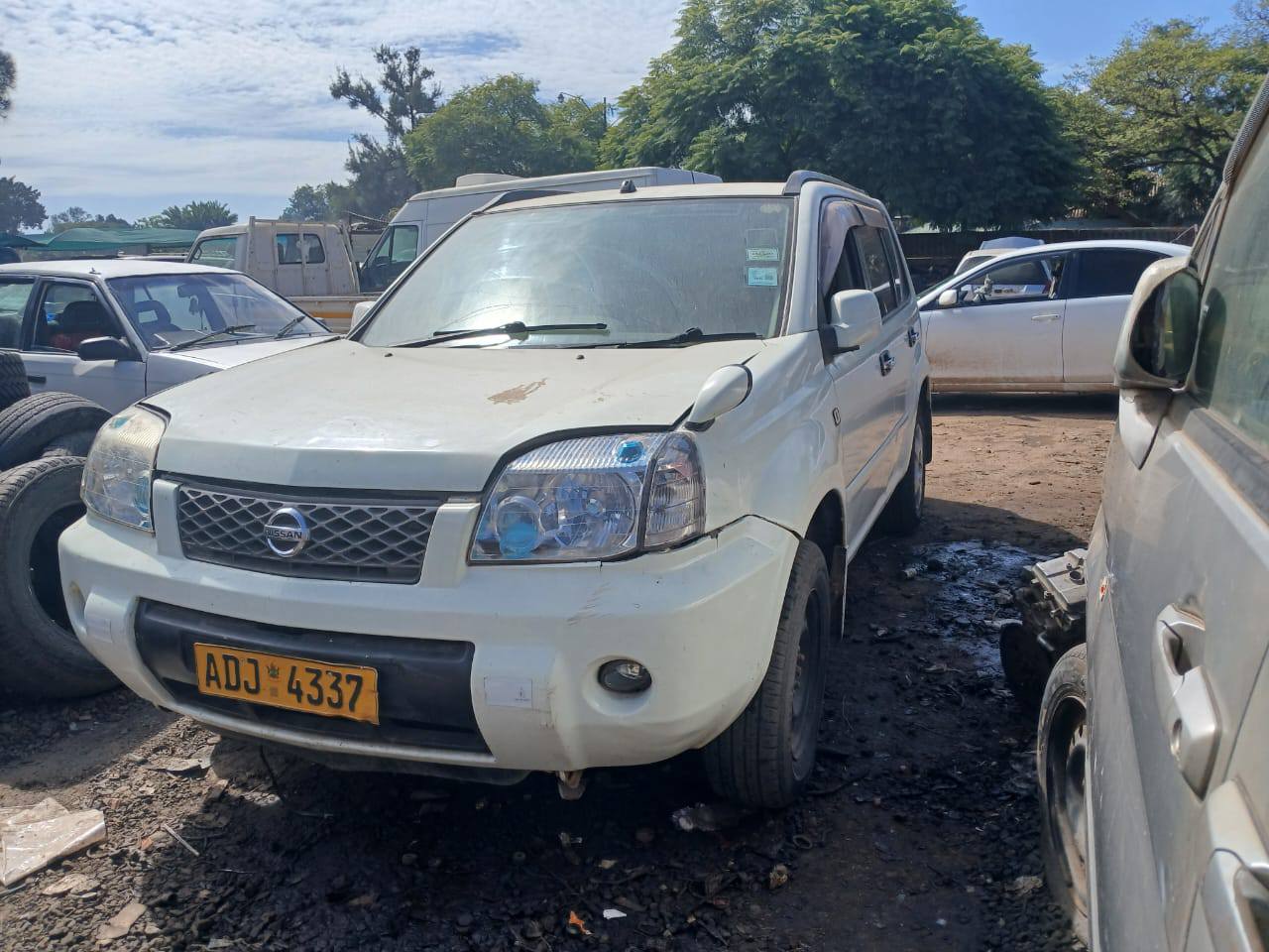 classifieds/cars nissan