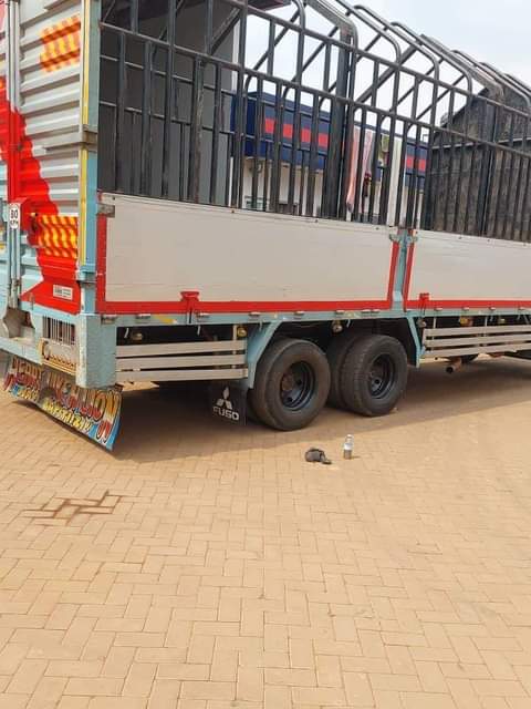A picture of Fuso fighter