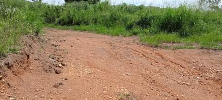 A picture of 20M UGX READY TITLE MATUGA KIWEBWA 1 5KM FROM BLACK
