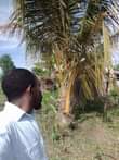 A picture of SHAMBA HEKA 15 LINAUZWA LIMELIMWA NA MAZAO YA KUDUMU LIPO