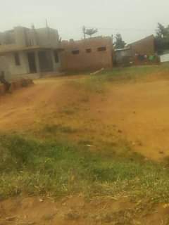 Fairland F.