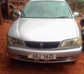 A picture of Kikumi kumi at 6 5m good condition buy and drive