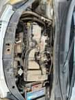 A picture of Kia 2008