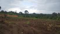 A picture of Estate plots on sale at matuga kiwebwa