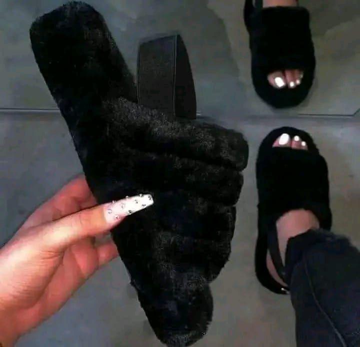 A picture of Slippers