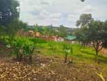 A picture of 50 decimals for sale in kyambongo near university
