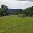 A picture of 50 Acres in Mukono Nkokonjeru Ssi Village