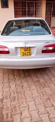 A picture of 13milions 0751886017