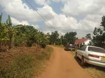 A picture of Quick sale plots