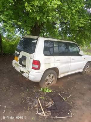A picture of Pajero