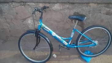 A picture of MOUNTAIN BIKES