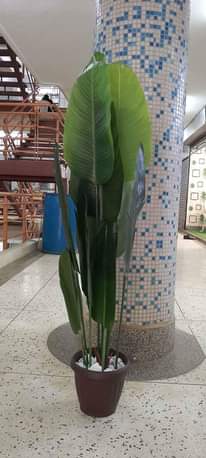 A picture of Artificial plants and flowers