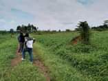 A picture of 1 plot remaining for quick sale