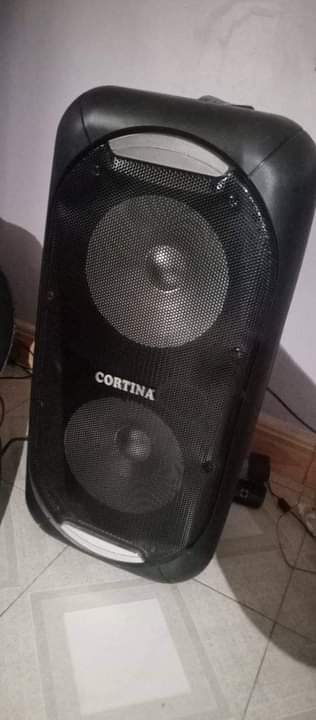 A picture of Stand alone speaker